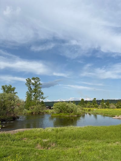 The image depicts a serene natural landscape on a partly cloudy day. A calm body of water, possibly a river or lake, occupies the mid-ground, reflecting the sky and surrounding greenery. Lush green grass covers the foreground, with scattered yellow wildflowers adding touches of color. Trees of various sizes and densities line the banks of the water and extend into the background. In the distance, a line of coniferous trees forms a dark forest against the horizon. Beyond the forest, two industrial smokestacks with red and white stripes are visible, emitting plumes of smoke, indicating a distant industrial presence, likely the Nevon pulp and paper mill. The sky is a vibrant blue, adorned with wispy white clouds, suggesting fair weather. The overall scene evokes a sense of peaceful coexistence between nature and industry.