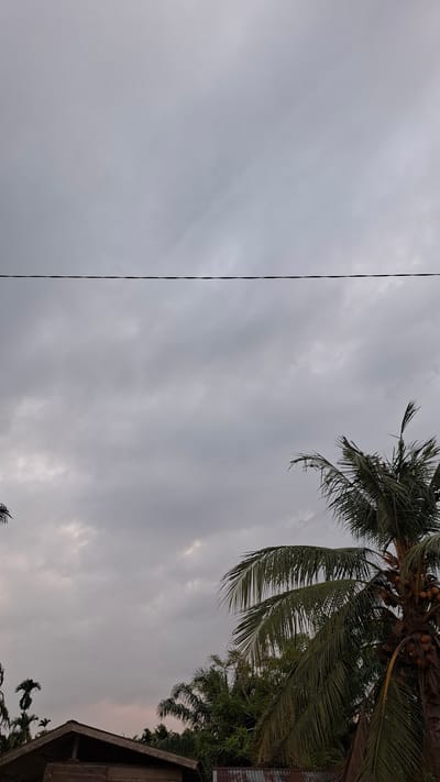 A vertical medium shot captures a cloudy sky with a power line horizontally bisecting the upper half of the frame. The lower half of the image features the tops of palm trees, their fronds reaching upwards, with coconuts visible on one palm. A portion of a wooden house with a dark roof is visible in the lower left, and a corrugated metal roof is seen in the lower right. The scene is set in Grong-grong, Indonesia, under a subdued, overcast sky.
