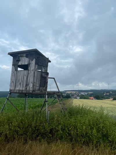 The image depicts a weathered wooden hunting blind situated in a field near Hattendorf, Germany. The blind, elevated on metal supports, has a rough, unfinished appearance with visible wooden planks and some tattered dark material hanging from its sides. A wooden ladder provides access to the elevated structure.
In the background, rolling hills are covered with agricultural fields. To the left, a field of green crops, possibly corn, is visible. To the right, a field of golden grain, likely wheat or barley, stretches towards a small village nestled in a valley. The village features several buildings, including some with red roofs. A wind farm with multiple wind turbines is prominent on the horizon, dotting the landscape with their tall, white structures.
The sky is overcast with heavy, grey clouds, suggesting a cloudy or potentially rainy day. The foreground is dominated by lush green vegetation and dry, brown grass. No people or animals are visible in the frame. The scene is static and captures a rural, agricultural environment under a muted sky.