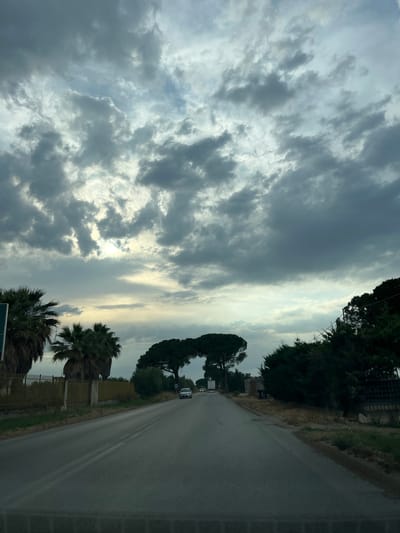 This is a photograph taken from a vehicle driving on a road, likely in Barletta, Italy, due to the presence of palm trees and umbrella pines. The sky is overcast with dramatic, dark clouds, but there are patches of lighter sky and possibly sunlight breaking through in the distance, suggesting either dawn or dusk. The road appears to be a two-lane asphalt road with white dividing lines.
On the left side of the road, there are several tall palm trees and a wire fence. Further down the road on the left, a white passenger vehicle is visible. On the right side of the road, there are dense evergreen trees and what appears to be a fence or wall. In the middle distance, two distinctive umbrella pine trees are prominently featured, their tops appearing almost connected. Beyond the pines, more trees are visible, and a white truck is seen traveling in the opposite direction. The overall impression is a slightly moody, natural landscape on the outskirts of a city.