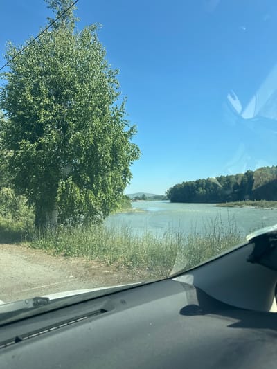 The image depicts a view from inside a vehicle looking out at a river and its surroundings under a clear blue sky. On the left side of the frame, a large, leafy green tree with a white trunk stands prominently. The ground in front of the tree appears to be a dirt path or road, with dry grass and vegetation lining the edge of the river. The river itself is wide and appears to have a slightly greenish-blue hue, with gentle ripples on its surface. Across the river, a dense line of trees forms a dark green barrier along the bank, with a distant hillside visible in the far background. Reflections of the sky and possibly the vehicle's interior are visible on the windshield. The foreground shows the dashboard of the vehicle, with a windshield wiper visible on the exterior of the glass.
This image is likely taken from the vicinity of Aya, Russia, given the geographical features shown. The region is known for its rivers, forests, and natural landscapes, which are consistent with the scene presented.