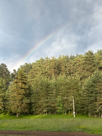The image shows a natural landscape with a forest and a rainbow in the sky. The foreground features a grassy field with some yellow wildflowers and a dirt path at the bottom. Behind the field, a dense forest of pine trees covers a hillside. A utility pole with wires stands in the field, near the edge of the forest. A faint rainbow arches across the sky above the trees. The scene appears to be in a rural or natural setting, possibly in Yundola, Bulgaria, given the context. There are no people or animals visible in the image. The lighting suggests it might be after a rainfall.