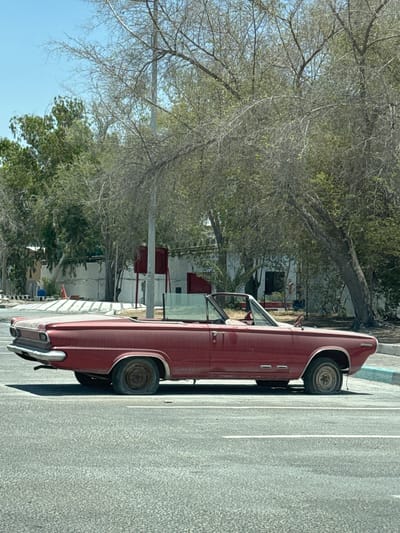 The image depicts an abandoned, red two-door convertible car, likely from the early 1960s, parked on an asphalt road in Musaffah, United Arab Emirates, under a clear blue sky. The vehicle is visibly aged and dusty, with a significantly deflated or flat rear tire on the driver's side, and the front passenger-side tire also appears flat. Its interior is exposed, and the windshield and side windows are present. The car casts a shadow to its right, indicating midday or early afternoon sun.

In the background, a mix of trees with both sparse and full foliage lines a street or property. Some trees exhibit characteristics consistent with arid environments. Beyond the trees, obscured residential or commercial buildings with light-colored walls and dark openings are visible. A light-colored utility pole stands vertically behind the car's midsection, with what appear to be red, rectangular structures or utility boxes mounted on or near it further back. A light blue painted curb is visible to the right of the car. The foreground features a textured asphalt road with a single white horizontal lane marking. No people are present in the scene.