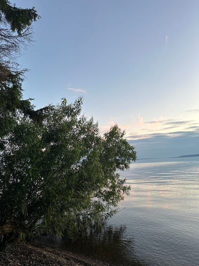 This image depicts a serene natural landscape with a large, leafy tree dominating the left side of the frame. The tree's branches extend over a body of water, which appears to be a lake or a wide river, with gentle ripples on its surface. The water reflects the soft hues of the sky, which is a pale blue with streaks of pink and orange from a sunset or sunrise. In the distance, a faint outline of land is visible, suggesting the presence of hills or mountains on the horizon. The foreground is a pebbly shore, with the tree's roots partially visible. The scene evokes a sense of tranquility and natural beauty. The location is identified as Горы, Russia, suggesting a mountainous region.