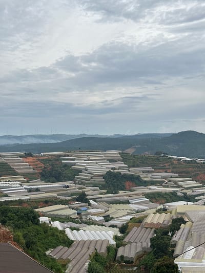 The image shows a panoramic view of a vast agricultural area with numerous greenhouses clustered on rolling hills. The greenhouses are mostly white or translucent, covering extensive terraced fields. In the background, rolling hills are covered with dense green vegetation, and a distant hazy landscape features a row of wind turbines. The sky is overcast with light gray clouds, suggesting a cool or humid day. The scene appears to be an agricultural hub within the vicinity of Đa Quý, Vietnam, known for its flower and vegetable cultivation, likely utilizing these greenhouses to control growing conditions. There are no visible people or animals in the frame. The overall impression is one of large-scale, organized agricultural production integrated into a natural landscape.