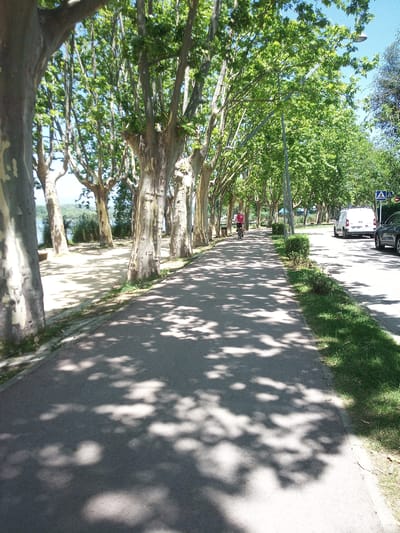 The image shows a tree-lined paved path, likely a promenade or a bike lane, in Banyoles, Spain. The path is bordered by large, mature trees with distinctive mottled bark and lush green foliage, casting dappled shadows on the ground. Sunlight streams through the leaves, creating a bright and summery atmosphere.

To the left of the path, there is a sandy area with more trees and glimpses of water, suggesting a lakeside or riverbank setting. To the right of the path, there is a road with a white van and a dark-colored car parked or driving. A blue pedestrian crossing sign is visible on the right side of the road.

In the middle ground of the path, a person is riding a bicycle, wearing a pink shirt. The overall scene depicts a pleasant outdoor recreational area in a Mediterranean climate. The presence of the road and vehicles suggests that this path is located in an urban or semi-urban environment, near a public road. The clarity of the image and the lighting conditions indicate that it was taken on a sunny day.