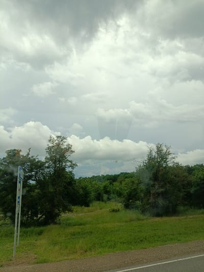 The image depicts a rural landscape on a cloudy day. In the foreground, a patch of gravel road with a white line runs along the bottom edge. Adjacent to the road is a grassy field with tall grass. A metal pole with a blue and white sign stands in the left portion of the field. Behind the field, a dense line of green trees stretches across the middle ground, with some sparser, taller trees visible in the foreground. The sky above is filled with dramatic, grey and white clouds. The overall scene suggests a natural environment, possibly a roadside view in the countryside. Without specific landmarks or context provided by the image itself, pinpointing an exact location within Saratovskaya, Russia is not possible.
