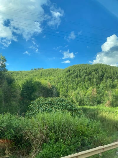 This is an outdoor, eye-level, full shot taken from a moving vehicle, likely a car. The scene captures a vast, rolling hillside densely covered with trees under a bright blue sky dotted with white clouds. A few electrical wires stretch across the top of the frame, parallel to the horizon. In the foreground, lush green vegetation, including tall grasses and broad-leafed plants, grows abundantly. A light-colored guardrail is visible along the bottom edge of the image, further suggesting the perspective of a vehicle on a road. The overall environment is natural and verdant, with no people or animals present. The image depicts a rural landscape, possibly in the vicinity of Thôn 18, Vietnam, characterized by its natural beauty and the presence of infrastructure for power distribution.