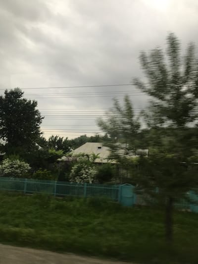 This image, captured in the city of Cristești, Romania, depicts an outdoor scene characterized by motion blur, indicating it was likely taken from a moving vehicle. The upper half to two-thirds of the frame is dominated by an overcast, light grey sky with diffuse cloud formations. Multiple parallel, dark-colored power lines or communication wires traverse horizontally across the upper middle section, partially intersecting with the tops of trees.
The middle ground features dense green foliage from various trees and bushes. On the left, a large, dark green deciduous tree is prominently visible. Towards the center-right, trees appear significantly motion-blurred, manifesting as vertical streaks. Several white-flowering bushes are interspersed among the green vegetation in the mid-ground. Partially obscured by trees and bushes are at least two single-story structures with light-colored, possibly corrugated metal or tiled, pitched roofs; one roof on the left-center shows a visible chimney or ventilation pipe.
A turquoise or light blue metal fence runs horizontally across the lower middle of the image, separating the foreground from the structures and flowering bushes. A matching turquoise gate is discernible on the far right, blending with the fence line. The immediate foreground consists of a strip of dark green grass, also exhibiting motion blur. The very bottom of the image shows a narrow, dark, indistinct strip, possibly a road or pathway, blurred horizontally. No individuals are present in the scene. The lush vegetation and flowering bushes suggest a spring or summer season under an overcast sky.