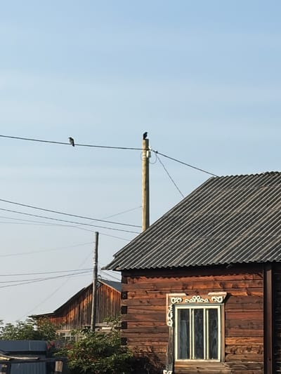 The image depicts a rural scene in Myandigi, Russia, under a clear blue sky. In the foreground, the corner of a rustic wooden house with a corrugated roof is visible. The house has a window with decorative white trim and metal bars. To the left of this house, a portion of another wooden structure with a similar roof is seen. A prominent wooden utility pole stands between the two buildings, supporting electrical wires that stretch across the frame. Two birds are perched on these wires; one is positioned further to the left, and the other is closer to the utility pole on the right. Lush green foliage is visible in the lower portion of the image, partially obscuring some of the lower structures. The overall impression is one of a tranquil, sunlit day in a village setting.