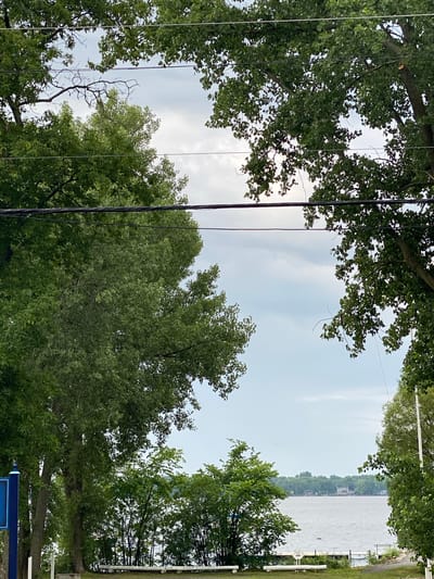 The image depicts a view of Lac Saint-Louis in Baie-D'Urfé, Canada, framed by the leaves and branches of mature trees. Power lines are visible in the upper portion of the frame. The lake is calm with a hazy sky overhead. In the distance, across the lake, is a shoreline with houses and dense green foliage. The foreground shows a grassy area with two log benches. A blue pole with some writing is partially visible on the left side of the frame.