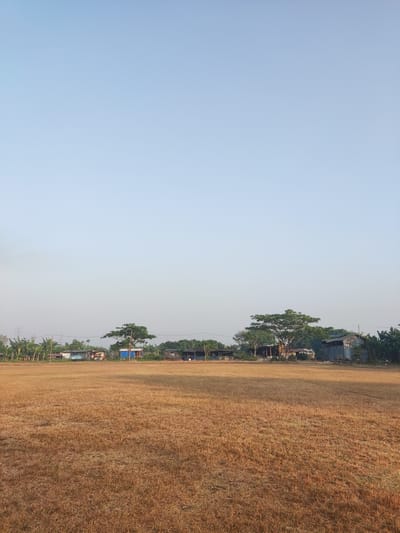 This is a vertical, eye-level, medium shot of a dry, golden grass field in Karangbong, Indonesia. The field occupies the foreground and mid-ground of the image, with the dry grass appearing short and dense. In the background, a line of small buildings and trees stretches across the horizon. The buildings appear to be simple structures, some with corrugated metal roofs. To the left, a few utility poles are visible, and a cluster of banana trees can be seen. The sky above is a clear, pale blue, with no clouds present. The scene is illuminated by natural daylight, suggesting it is daytime. There are no people or animals visible in the image.