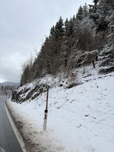 The image displays a winter landscape in Achenkirch, Austria, under a uniformly overcast sky. A two-lane asphalt road, appearing wet and dark, curves gently to the left in the lower-left quadrant. A continuous white line marks the road's edge. Adjacent to the road, a significant snow-covered embankment rises steeply. The snow immediately bordering the road is discolored and slushy. Positioned in the foreground on the embankment, a white roadside marker post with a black segment at its base, a white reflective strip, and a small red rectangular marking near the top is partially obscured by snow. Further up the embankment and to the right, several dark, weathered wooden posts are visible amidst the snow. The embankment is densely forested, primarily with bare deciduous trees and shrubs in the lower section, and dense, snow-dusted coniferous trees covering the higher slope. In the distant background on the left, snow-covered mountains are visible beneath the cloudy sky. No individuals, vehicles, or active subjects are present in the scene.