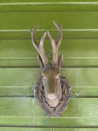 The image displays a weathered deer head sculpture mounted centrally on a horizontally planked wall in the city of Stiperstones, United Kingdom. The sculpture, rendered in a brownish-grey material suggestive of concrete or stone, features multi-pronged antlers and a decorative base resembling foliage. Its eyes are painted reddish-brown with distinct white highlights. The wall behind the sculpture consists of evenly spaced wooden planks, coated in a lime green paint with a slight sheen. Fine, white cobwebs are extensively present on the wall, particularly to the left and below the sculpture, indicating the environment's condition. Dust accumulation is visible on both the sculpture and the wall surface. No individuals or active interactions are depicted.