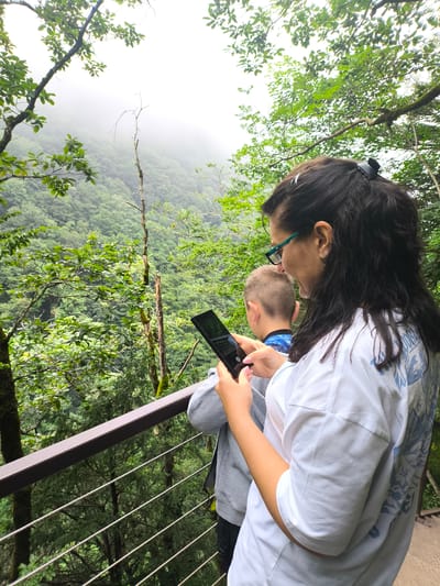 In Bangveti, Georgia, a woman with dark hair and glasses, wearing a white t-shirt with a blue floral design, stands on a walkway, looking at a tablet. Beside her, a boy with light brown hair, wearing a grey hoodie, also looks out at the misty, green mountainous landscape. The walkway is lined with a dark railing and wire cables. Lush green trees and dense foliage cover the steep hillsides in the background, shrouded in a light fog.