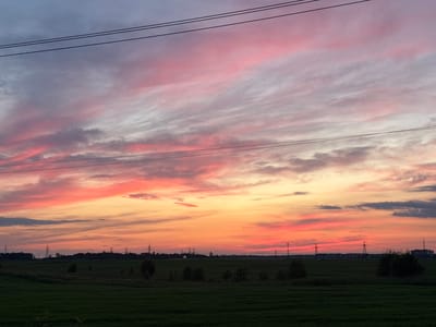 The image captures a dramatic sunset over a rural landscape. The sky is ablaze with vibrant hues of pink, orange, and yellow, streaked with wispy clouds. In the foreground, a dark green field stretches across the lower portion of the frame. A dark line of trees and vegetation forms the horizon, punctuated by several tall electrical pylons, indicative of power transmission infrastructure. In the far distance, faint lights suggest a settlement or town. Overhead, three parallel power lines traverse the sky, adding a man-made element to the natural scene. The overall impression is one of serene, expansive natural beauty, with a subtle reminder of human presence. The location is stated as Telezi, Russia.