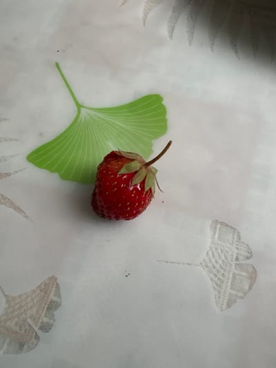 A single, ripe strawberry with a stem and green cap rests on a light-colored surface. The surface is decorated with faint, stylized leaf patterns in light green and beige. One prominent light green leaf shape is visible behind and to the left of the strawberry. Two beige leaf patterns are visible in the lower left and lower right of the image. The background is out of focus, suggesting a shallow depth of field. The lighting appears to be natural, casting a soft glow on the strawberry. There is no indication of the location being Siniy Gay, Russia.