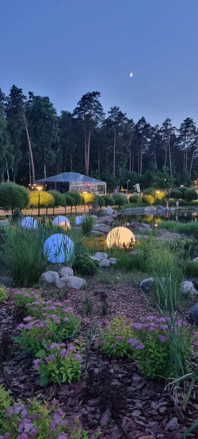 The image depicts an outdoor park scene at dusk in Shulgino, Russia. In the foreground, a variety of plants, including small bushes with purple flowers and tall grasses, are arranged on a bed of wood chips. Several large, spherical lights are scattered throughout the foreground, some illuminated with a soft blue light and one with a warm yellow glow. In the midground, a pond reflects the ambient light and the surrounding trees. Two people are visible near the edge of the pond. Beyond the pond, a modern building with a glass roof and walls is illuminated. A line of trees with yellow foliage and streetlights line a pathway in front of the building. The background is dominated by a dense forest of tall trees, and the twilight sky shows a crescent moon.