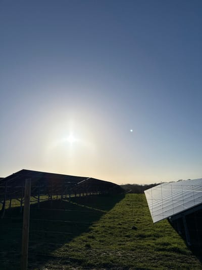 The scene depicts a solar panel installation situated within a grassy, open field in a rural or semi-rural area of Southampton, United Kingdom. The upper two-thirds of the image show a clear blue sky. The sun, positioned in the upper-left quadrant, emits a bright, star-shaped lens flare, accompanied by a smaller, distinct light blue circular lens flare to its right.
In the left mid-ground, a long, linear array of dark-surfaced solar panels, supported by angled metal frameworks, stretches horizontally, casting prominent elongated shadows across the verdant green grass. A wooden fence post stands in the left foreground, with a wire fence extending horizontally across the mid-ground, partially obscured by the panels and their shadows. In the lower-right foreground, a separate section of solar panels is visible, angled upward and reflecting sunlight, revealing the grid pattern of individual photovoltaic cells. The distant horizon line is visible between the two panel arrays, showing a faint treeline against the brighter sky. No individuals or active subjects are present in the scene.