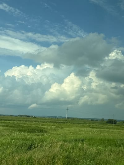 This is a vertical, eye-level shot of a rural landscape under a partly cloudy sky. In the foreground, a vast expanse of tall, green grass covers rolling hills. The grass is densely packed and appears somewhat windswept. Two utility poles with wires are visible in the middle ground, spaced apart across the grassy field. The horizon line is marked by a line of trees and distant low hills. The upper portion of the image is dominated by a dynamic sky filled with large, white and gray cumulus clouds. The lighting suggests it is daytime, likely mid-afternoon, with some areas of bright sunlight on the clouds and some shadowed areas indicating potential for rain. The scene is devoid of people or animals.