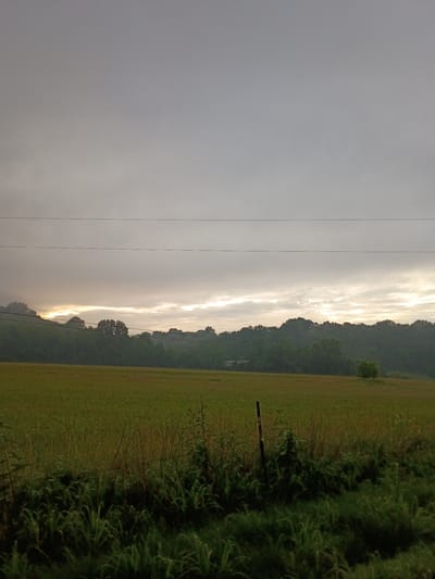 A rural landscape is depicted, featuring a field of tall, dry grass in the foreground with a fence post to the right. A dense line of trees forms a treeline behind the field. Above the trees, a band of bright, diffused light suggests the sun is breaking through an overcast sky. The sky itself is a uniform, pale gray. The overall scene conveys a sense of dawn or dusk in a natural, open environment, likely in or around Frankfort, United States, given the contextual information provided.