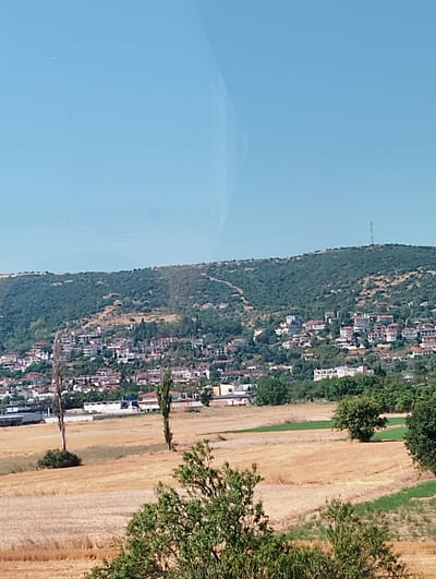 The image depicts a rural landscape with a town nestled on a green, treed hillside under a clear blue sky. In the foreground, dry, golden fields dominate, suggesting a harvested crop. Several trees, some bare and spindly, others leafy and green, are scattered across the fields. In the midground, a densely populated town with red-tiled roofs is visible, climbing up the hillside. Buildings are mostly white or light-colored. The background is a continuous green hillside covered in dense vegetation and some scattered buildings. On the crest of the hill, a tall cell tower is visible. The overall impression is one of a sunny day in a Mediterranean setting. The town appears to be Lagyna, Greece, given the context. There are no people or animals visible in the image. The scene is static and peaceful.