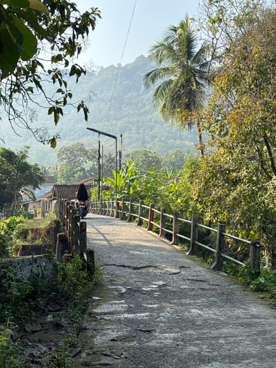 A motorcycle with a rider wearing a black hijab and yellow shirt travels across a weathered concrete bridge in Kalirancang, Indonesia. The bridge is lined with a concrete barrier topped by metal railings and concrete posts, some adorned with red accents. Lush green vegetation borders the bridge, with trees and foliage creating a natural canopy. In the background, rolling hills covered in trees recede into a hazy sky, suggesting a rural or semi-rural setting. A few buildings with terracotta roofs are visible amidst the greenery to the left of the bridge. The road surface is cracked and shows signs of wear, with patches of moisture reflecting the sunlight. A street lamp is mounted on a pole near the bridge.
