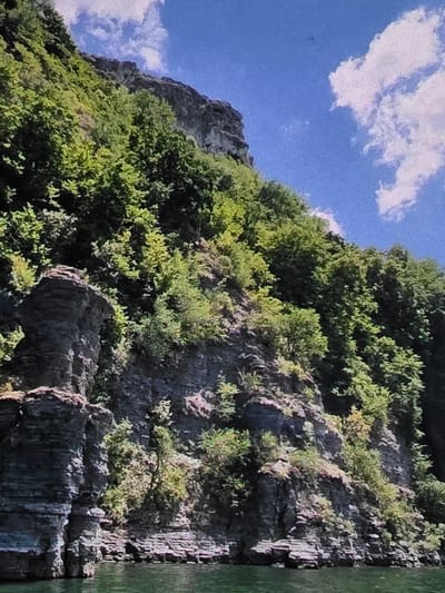 A low-angle, wide shot captures a dramatic cliff face covered in lush green trees, rising steeply from dark, rippling water. The sky above is a vibrant blue, dotted with fluffy white clouds. The rocky cliff is characterized by layers of dark gray stone, some appearing weathered and fractured, while others form distinct horizontal strata. Patches of lighter colored rock are visible, particularly towards the base and some upper ledges. Dense foliage, ranging in shade from deep green to lighter, almost yellow-green, carpets the upper slopes and spills over ledges and out of crevices, obscuring much of the rock face. The water in the foreground appears dark and calm, reflecting the dense greenery and the rocky cliff. The scene suggests a natural, possibly remote location, with no discernible man-made structures or individuals present, although the description of "city of Dubno, Ukraine" implies an urban context.