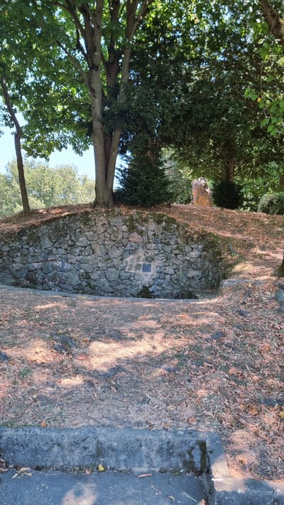 The image shows an outdoor scene in La Vall d'en Bas, Spain, featuring a stone-walled structure set into a grassy, leaf-strewn hillside. A large tree with dense green foliage grows from the top of the structure, casting shadows. A small, dark plaque is affixed to the stone wall. The surrounding area is dry and appears to be autumnal, with scattered leaves on the ground and a concrete curb in the foreground. The overall impression is of a natural, perhaps historical, site within a park or garden setting.