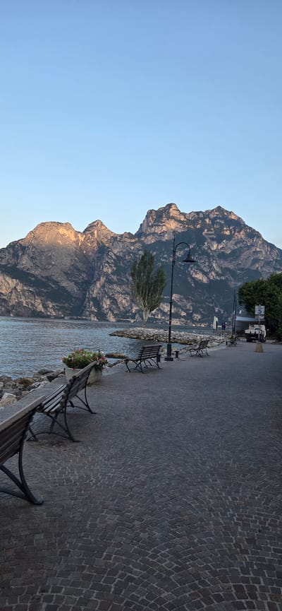 The image depicts a waterfront promenade in Torbole, Italy, facing a large lake and mountains. The foreground features a cobblestone pathway with several empty wooden benches. To the left, the lake's calm surface is visible, bordered by a rocky shore with a planter box containing pink and white flowers. A tall, slender tree stands near the water's edge, with a lamppost beside it. In the background, majestic mountains rise, their peaks illuminated by the warm glow of the setting sun. The sky above is a clear, pale blue. Further along the promenade, a few people are faintly visible near a covered seating area and a small utility vehicle. The scene conveys a sense of tranquility and natural beauty.