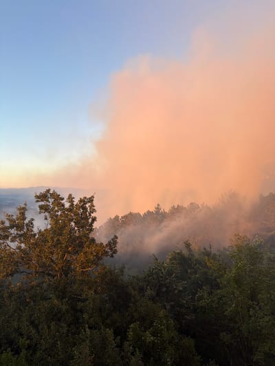 A drone shot captures a dense forest from a high vantage point overlooking a valley, under a hazy sky. The smoke is illuminated by the soft light of sunrise or sunset, casting a warm orange glow over the scene. The foreground features the dark silhouette of lush green trees, their leaves catching the light. In the middle ground, a rolling landscape of pine trees is partially obscured by a thick layer of smoke, creating an ethereal, dreamlike effect. The smoke rises from the forest and drifts towards the horizon, where distant, hazy mountains are visible. The sky is a gradient of pale blue at the top, transitioning to a soft orange and pink as it meets the smoke-filled atmosphere. The overall impression is one of dramatic natural beauty, with a hint of environmental concern due to the presence of smoke. The location is the city of Kanjoši, Montenegro.