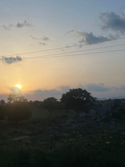 The image captures a rural landscape during either sunrise or sunset in Rinjim Gani, Nigeria. The sun, a bright yellow-white disc, is positioned on the left side of the mid-frame, partially obscured by dark-edged clouds, illuminating the lower sky with warm golden-orange hues. Above this, the sky transitions to a light blue-grey, featuring scattered grey cumulus clouds. Three dark, parallel utility lines horizontally traverse the upper middle section of the frame. The foreground and midground are dominated by silhouetted natural elements, including dark, dense trees and shrubs. A large, dark-canopied tree stands prominently on the right side of the mid-frame, adjacent to scattered dark boulders and rocky formations. In the distant background, the faint outlines of rolling hills or mountains are visible under the soft light. The ground in the immediate foreground consists of dark, indistinct vegetation, indicative of grassland or shrubbery. No human subjects, animals, or man-made structures are discernible within the frame.