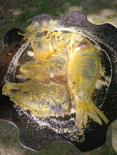 The image shows three fish coated in yellow seasoning, likely turmeric, being fried in a dark, irregularly shaped pan. The pan is placed on a grassy surface with dirt and some fallen leaves visible. The fish are partially submerged in oil and appear to be cooking. The scene suggests an outdoor cooking environment. The location is specified as Capriana, Moldova.