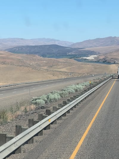 An eye-level, medium shot captures a highway stretching into the distance under a clear blue sky. The highway is divided by a yellow line and bordered by a metal guardrail supported by wooden posts. Desert vegetation, appearing as low, grey-green bushes, grows along the roadside. In the background, rolling hills are covered in dry, brown grass and dotted with sparse trees. Further in the distance, a body of water reflects the sky, and the faint outlines of mountains are visible on the horizon, with several wind turbines perched on their peaks. The scene appears to be a desolate, arid landscape.