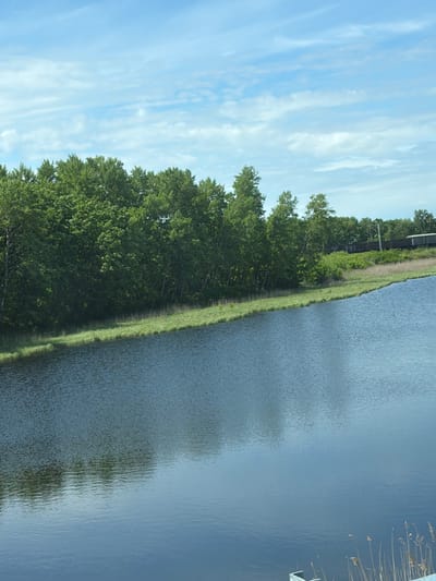 The image captures a serene landscape scene featuring a calm body of water in the foreground, reflecting the sky and surrounding trees. A lush green treeline runs along the edge of the water, with a gentle slope of grass separating the water from the trees. In the background, a train with dark carriages can be seen moving along a track that runs parallel to the treeline. The sky above is a bright blue, dotted with wispy white clouds. The overall impression is one of natural beauty and tranquility. The provided context suggests this scene is located in the city of Аур, Russia, though this cannot be visually confirmed from the image itself. There are no people or animals visible in the frame.