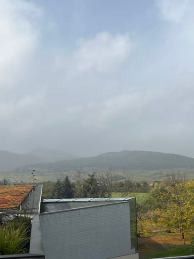 This image captures a wide-angle view of a landscape in Ribeauvillé, France, under an overcast sky. The upper half of the frame is dominated by a uniform expanse of light grey clouds. In the middle ground, a series of green, tree-covered hills extends horizontally, gradually fading into atmospheric haze towards the horizon. A valley floor, characterized by agricultural fields and scattered darker tree clusters, is visible between the hills. Sparse buildings with red roofs are discernible within the valley. The lower third of the image is occupied by architectural structures. On the left, a portion of a building features a green and red sedum roof. Immediately to its right and extending across the foreground is a modern building with a grey, horizontally paneled facade. This structure includes a flat roof incorporating multiple reflective glass panels or skylights, and a prominent vertical glass corner section. A thin, dark pole-like fixture extends upwards from the building area near the sedum roof. Green, spiky foliage is visible in a planter at the bottom left. Trees with sparse, light-colored, or yellow leaves are present on the right side of the mid-ground. No human figures or activities are observed.