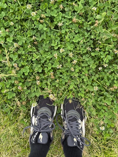 The image captures a close-up, top-down view of a person's feet, clad in black athletic socks and dark grey and black sneakers, standing on a ground covered with lush green clover and grass, dotted with small white clover flowers and some dried clover heads. The sneakers have grey laces and a black tab with a yellow emblem and white text. The scene is set outdoors, within a grassy area that could be part of a park or a yard in Sedanovo, Russia. The lighting suggests it is daytime.
