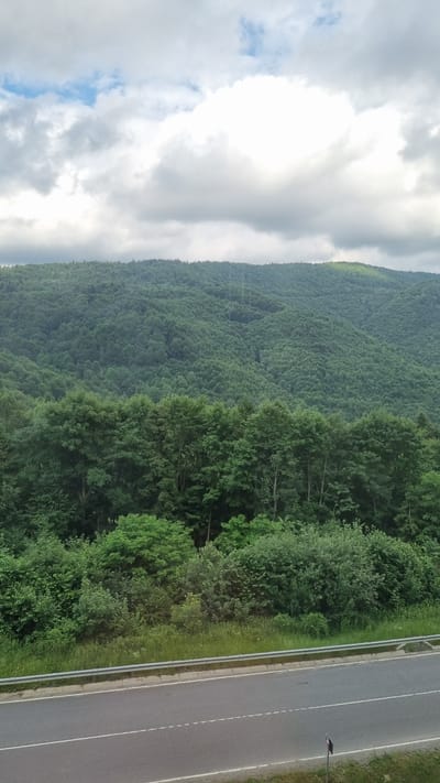 The image shows a view of a lush green hillside covered in trees, with a highway in the foreground. The sky above is filled with dramatic, white and grey clouds, with patches of blue sky visible. The hillside is densely forested, with the trees appearing to be a mix of deciduous and coniferous varieties. In the foreground, the highway runs from left to right, with a metal guardrail separating it from the vegetated embankment. The highway appears to be a paved, multi-lane road with white lane markings. The overall impression is one of a natural landscape meeting human infrastructure. The location is identified as Uzhok, Ukraine. There are no people or animals visible in the image. The scene appears to be a typical rural or mountainous landscape view from a roadside.