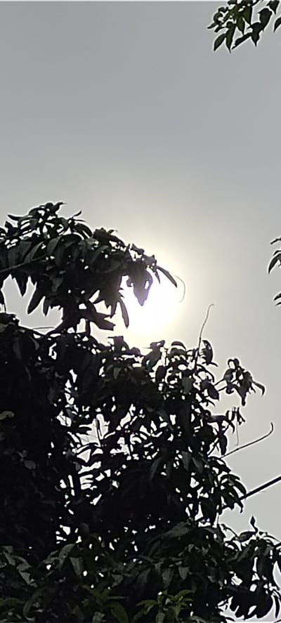 The image shows the sun shining through the leaves of a tree in Matangpanyang, Indonesia. The leaves are dark and silhouetted against the bright sun and light sky.