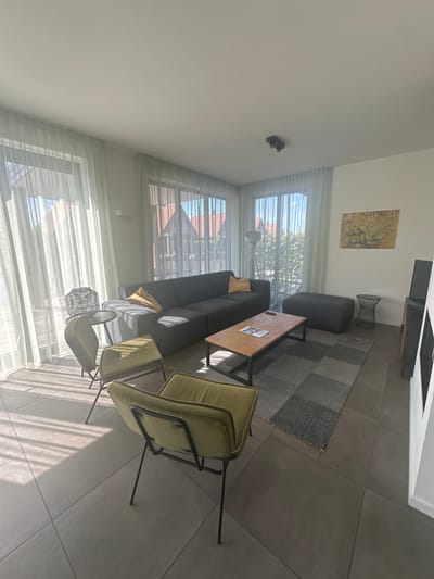 The image depicts a modern, sparsely furnished living room with large windows allowing ample natural light to stream in, creating distinct shadows on the floor. The room features a dark grey sectional sofa with a single yellow throw pillow. In front of the sofa is a light brown wooden coffee table with a dark metal frame, on which a magazine and a remote control are visible. To the left of the coffee table, two olive green upholstered chairs with thin black metal legs are positioned. A black wire basket-style side table with a round top sits near the window. Behind the sofa, a dark grey ottoman-style pouf is placed. A small, black wire side table with a rounded, open design is situated to the right of the pouf. On the wall above the pouf hangs a framed abstract painting featuring muted yellow and brown tones with tree-like imagery. To the far right, a portion of a black entertainment unit or cabinet is visible, and a black object, possibly a speaker or television, rests on top. A floor lamp with a white shade stands near the left side of the sofa, partially obscured by the curtain. The floor is tiled with large, square grey tiles. A grey rug with a patchwork design of varying grey tones is placed under the coffee table and pouf. The windows are covered by sheer white curtains that diffuse the light and reveal glimpses of residential buildings and greenery outside. The overall impression is one of a clean, contemporary, and bright living space. The image is not specifically located in Ossenzijl, Netherlands, as no identifying landmarks or context are provided within the image itself to confirm this location.