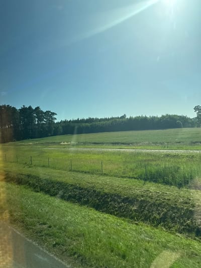 The image depicts a rural landscape with a clear sky and lush green fields. The sun is shining brightly, casting a strong lens flare across the upper left portion of the image. The scene is dominated by natural elements: a dense line of trees runs along the middle ground, separating a bright green field from a darker, more textured grassy area. A faint dirt path is visible winding through the field, bordered by small wooden posts that suggest a fence line. The texture of the grass varies, with some areas appearing freshly cut or mown, while others are taller and more overgrown. The overall impression is one of tranquility and natural beauty. There is no text visible in the image, nor are there any people or distinct objects other than the natural landscape features and a few fence posts. The time of day appears to be daytime, likely late morning or early afternoon, given the intensity of the sunlight. The weather seems to be fair and sunny. The location context of Rosin, Poland, suggests a European rural setting.