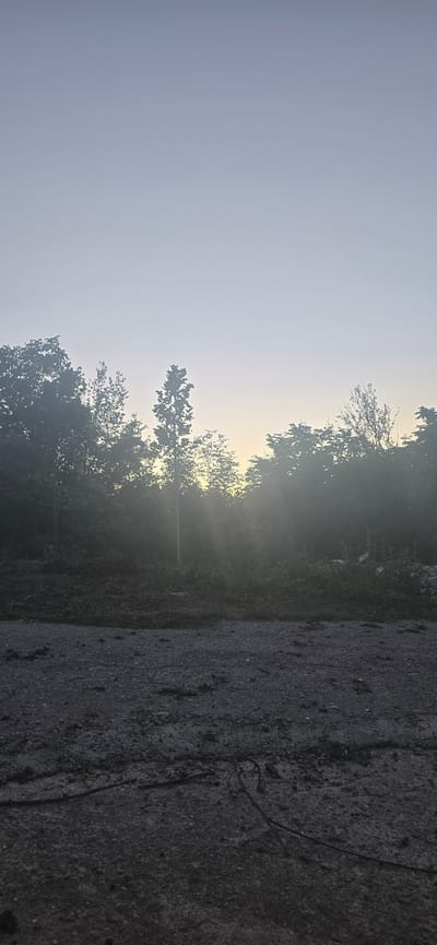 The image depicts a hazy outdoor scene with a dirt foreground and a treeline in the background. The sky is a pale blue, transitioning to a faint yellow glow near the horizon, suggesting either sunrise or sunset. The treeline is dense with foliage, partially obscuring the background. Rays of light are visible penetrating the haze and trees, creating a dappled effect. The foreground is a rough, dark surface with small stones and debris. There are no people or discernible actions visible in the image. The overall impression is one of a natural, somewhat overgrown area on the outskirts of a settlement. This scene is located in the village of Veselinovo, Bulgaria.