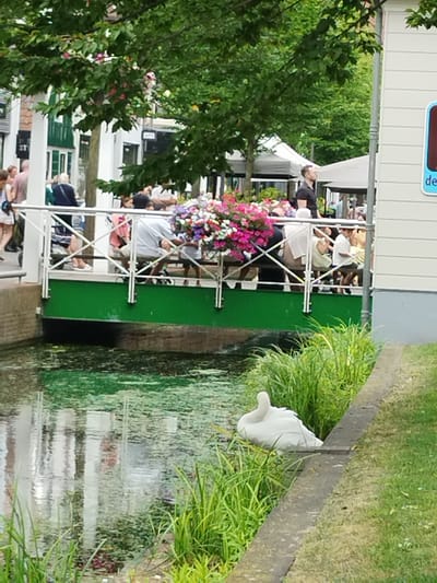 This media file captures a sunny outdoor scene in Zaandam, Netherlands. The focus is on a picturesque canal with a bright green bridge spanning across it. On the bridge, several people are casually gathered, enjoying the day. A large basket of colorful flowers, with pink, purple, and white blooms, is prominently displayed on the bridge, adding a vibrant touch to the scene.
The canal water reflects the surrounding environment, showing glimpses of buildings and greenery. To the right of the bridge, tall green grass grows along the canal bank, and a majestic white swan is resting peacefully amongst the reeds. Further in the background, trees with lush green foliage suggest a warm season, likely summer. The people on the bridge appear relaxed, engaged in conversation or simply enjoying the view. The overall atmosphere is peaceful and idyllic, indicative of a pleasant day in a charming Dutch town.
There are no visible emotions conveyed by the people. The time of day appears to be daytime, likely late morning or afternoon, given the bright sunlight. The weather seems fair and warm.
On the right side of the image, a white building with horizontal siding is visible. There is a blue and red sign on this building with some white text, but the text is not clearly legible. However, a partial word "de" is visible in blue text.