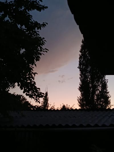 The image depicts a silhouetted rooftop in the foreground against a twilight sky. The sky exhibits a gradient of colors, transitioning from a deep blue at the top to lighter shades of pink and orange near the horizon. Several trees are visible in silhouette, framing the sky. On the left, a large tree with dark foliage extends from the top left corner. In the center right, a tall, slender tree stands prominently. Scattered smaller trees and foliage are also present along the horizon. A large, dark, amorphous shape is present at the top right of the image, obscuring a portion of the sky and a tall tree. The rooftop appears to be made of corrugated material and has a dark, textured surface. The overall scene suggests an outdoor setting, likely a residential area, at dusk. The specific location in Қарасу, Kazakhstan, is not discernible from the visual information provided in the image.