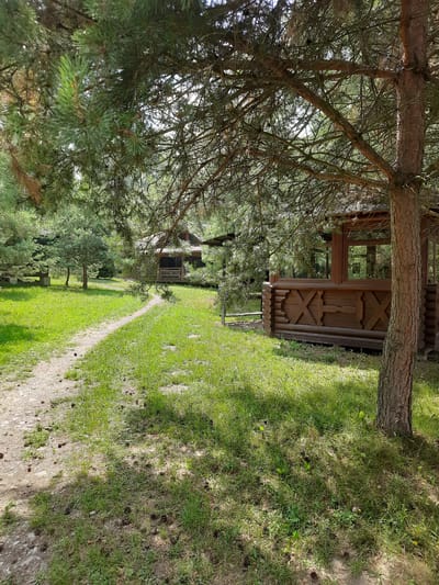 The image depicts a natural outdoor scene, likely in a park or forest area. In the foreground, a dirt path winds through a grassy area with scattered pinecones. To the right, a section of a wooden gazebo or pavilion is visible, constructed from logs and featuring decorative X-shaped carvings. Behind this, a larger wooden building, possibly a house or cabin, with a porch and visible windows is situated amongst trees. The environment is characterized by lush green grass, numerous pine trees casting shadows, and a generally serene, wooded atmosphere. There are no people or animals visible in the image. The location is not identifiable as being in the city of Drohobych, Ukraine, based on the visual information provided.