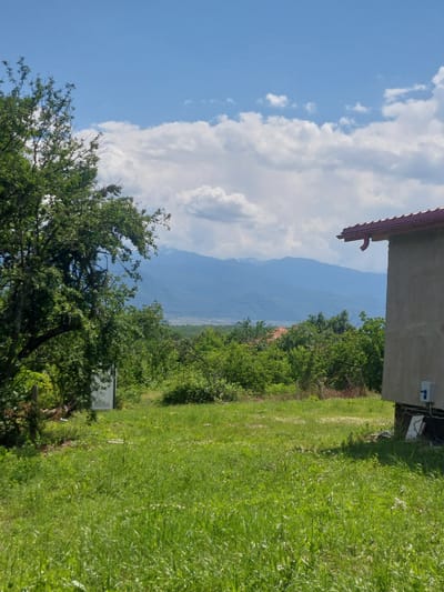 The image captures a view of Pchelin, Bulgaria, on a bright, partly cloudy day. In the foreground, a lush, green grassy field dominates the lower portion of the frame, with tall blades of grass creating a textured surface. To the left, a large, mature tree with dense green foliage stands prominently, its branches extending upwards and to the right. Behind the tree, a white rectangular structure, possibly a shed or utility box, is partially visible.
The midground reveals a dense expanse of green trees and vegetation, suggesting a rural or semi-rural setting. Amongst the trees, the reddish-orange tiled roof of a building can be seen.
In the background, a majestic mountain range stretches across the horizon, its peaks appearing hazy and tinged with blue due to atmospheric perspective. Some of the higher mountain peaks show patches of white, indicating snow or lighter-colored rock formations. A vast, light-colored valley or plain lies between the treeline and the mountains.
On the far right of the image, the side of a building is visible, constructed with a rough, light-colored stucco finish. A dark brown gutter extends from a red-tiled roof, and a small, curved downspout is attached. Near the base of the building, a white electrical box with a blue indicator light is mounted on the wall, with some wires running down. The building's foundation appears to be dark.
The sky above is a vibrant blue, dotted with fluffy white cumulus clouds, some of which are casting soft shadows on the landscape. The overall impression is one of a serene, natural landscape with hints of human habitation.