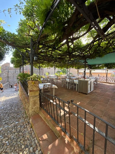An outdoor restaurant area is situated on a cobblestone pathway in Tossa de Mar, Spain. The restaurant features tables and chairs covered by a thick canopy of green foliage, supported by a metal structure. The tables are draped with white tablecloths, and some have potted plants on them. A stainless steel cart is positioned in the center of the dining area. To the left of the restaurant, a stone wall lines the pathway, with a few people walking up the steps. The background shows buildings with red tiled roofs.
