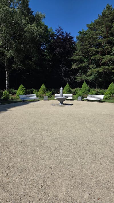 The image depicts a tranquil park scene in Palanga, Lithuania, under a clear, bright blue sky, suggesting a sunny daytime. The perspective is from a low angle, looking across a gravel path that dominates the right side of the frame. This path is composed of fine, light-colored gravel, with a few scattered leaves and small stones visible.

Along the left side of the path, a line of several white park benches is arranged. The first bench in the foreground is partially obscured. Behind it, another white bench is more visible, and further back, more benches can be seen interspersed with manicured greenery. These benches appear to be made of wood with white paint, and they are positioned to face a central feature.

The central feature is a stone fountain, which appears to be decorative rather than functional as no water is visible. It has a tiered design, with a prominent basin and a central column topped with a finial.

Behind the benches and fountain, a dense line of dark green trees forms a natural backdrop. These trees include both coniferous varieties and some deciduous trees, one of which has dark purple foliage, adding a splash of contrasting color. The trees are lush and well-maintained, indicating a carefully curated park environment. The overall impression is one of peacefulness and natural beauty, with the man-made elements of benches and the fountain harmoniously integrated into the landscape. There is no visible text in the image.