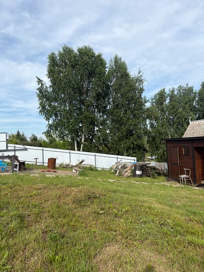 The image depicts a rural backyard scene in the city of Кузнецово, Russia, under a partly cloudy sky. In the foreground, a grassy lawn shows areas of dry and green grass. The middle ground is characterized by a gravel area with various objects, including a rusty barrel, a wooden bench, and a pile of lumber. A white metal fence runs horizontally across the scene, separating the yard from the background. Behind the fence, several tall birch trees dominate the landscape, their green foliage contrasting with the sky. To the right of the image, a small wooden outbuilding with a brown door and a window is visible. A simple wooden chair sits beside the outbuilding. The overall impression is one of a rustic, somewhat unkempt outdoor space. There are no people visible in the image.
