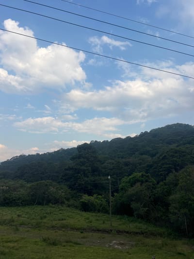 The image shows a landscape in La Esperanza, Honduras. A hill covered in dense, green trees dominates the right side of the frame. A narrow, grassy verge runs along the base of the hill. To the left of the hill, the sky is visible, filled with fluffy, white clouds against a blue background. Several black electrical wires stretch across the upper-left of the scene, cutting into the sky. A utility pole is noticeable along the grassy verge at the edge of the hill.